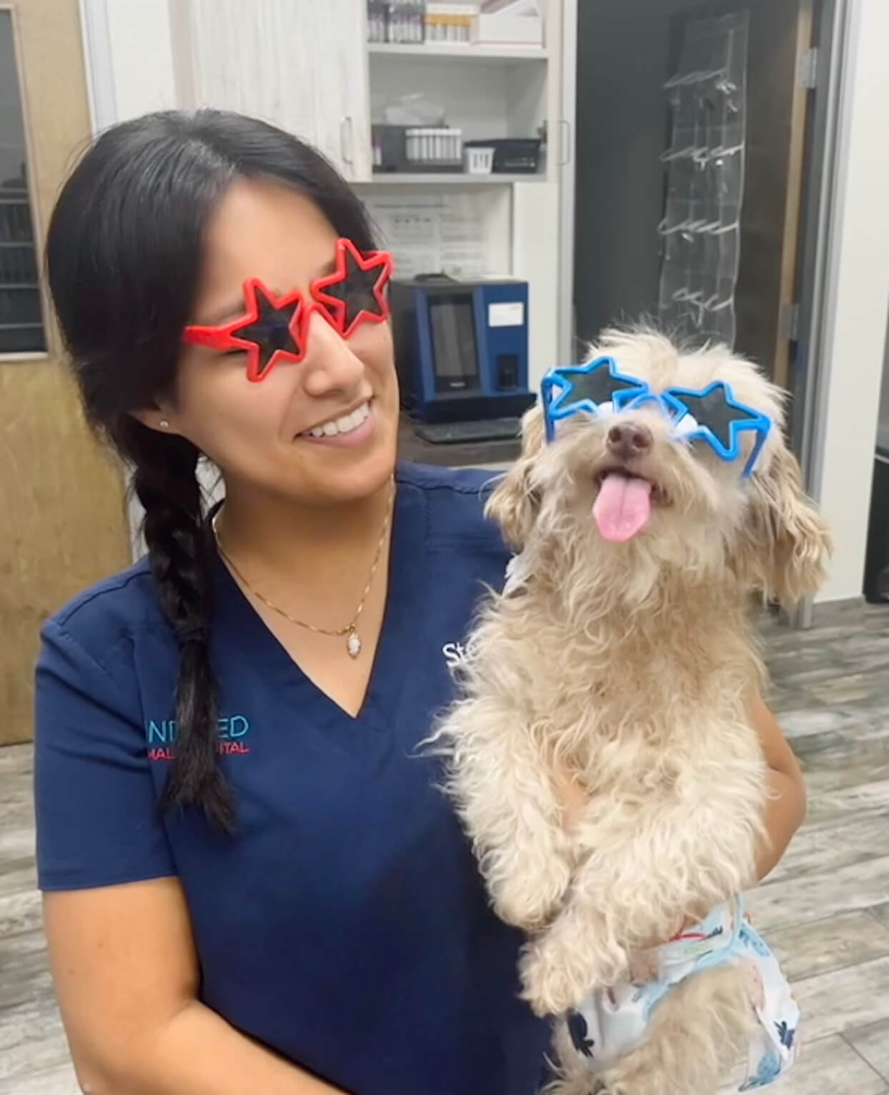 Dog With Star-shaped Sunglasses